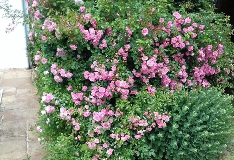 Aamiaismajoitus (B&B) Au Bois Dormant