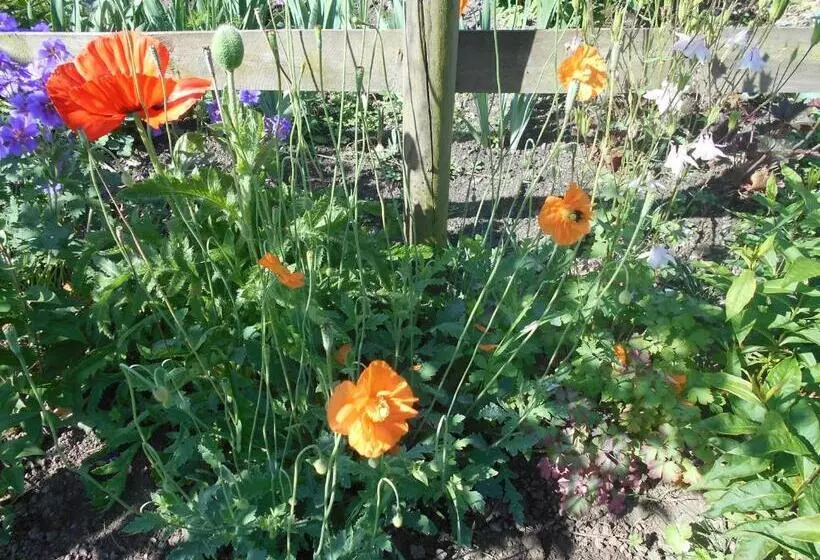 Aamiaismajoitus (B&B) Au Bois Dormant