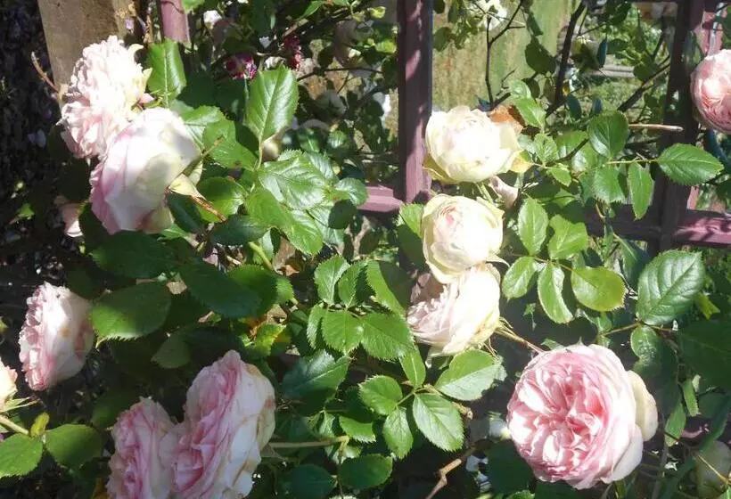 Aamiaismajoitus (B&B) Au Bois Dormant