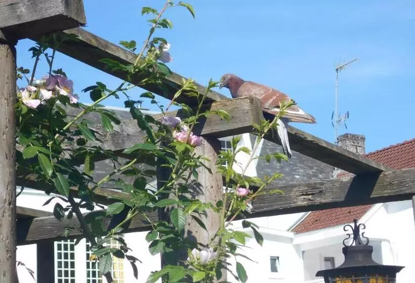 Aamiaismajoitus (B&B) Au Bois Dormant