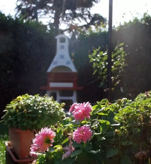 Aamiaismajoitus (B&B) Gatto Matto