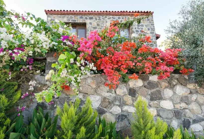 Aamiaismajoitus (B&B) Karaburun Bahçe