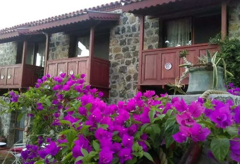 Aamiaismajoitus (B&B) Karaburun Bahçe