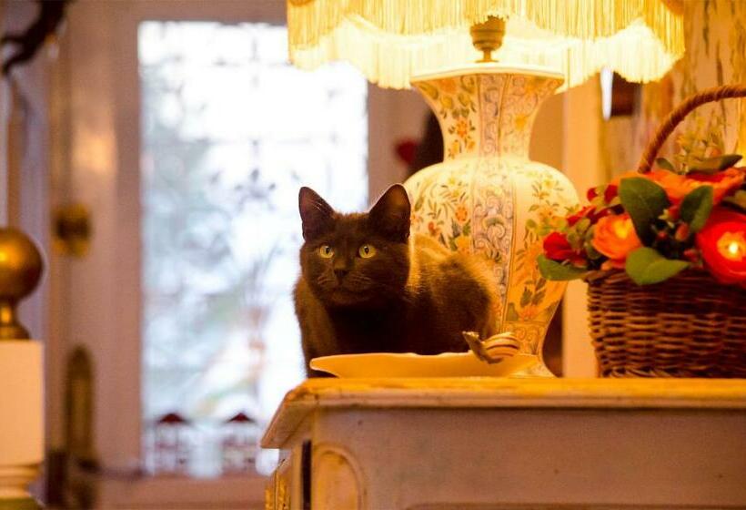 Bed and Breakfast La Minaudière 62