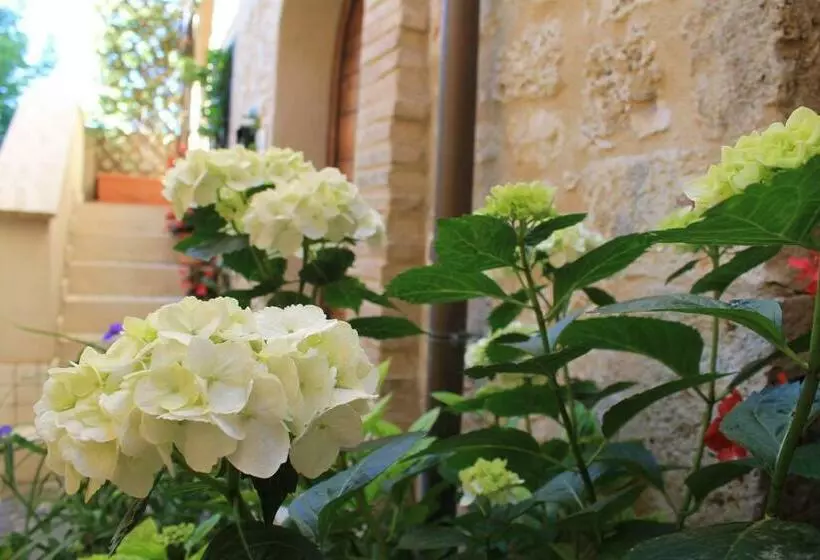 ベッドアンドブレックファースト La Zaffera