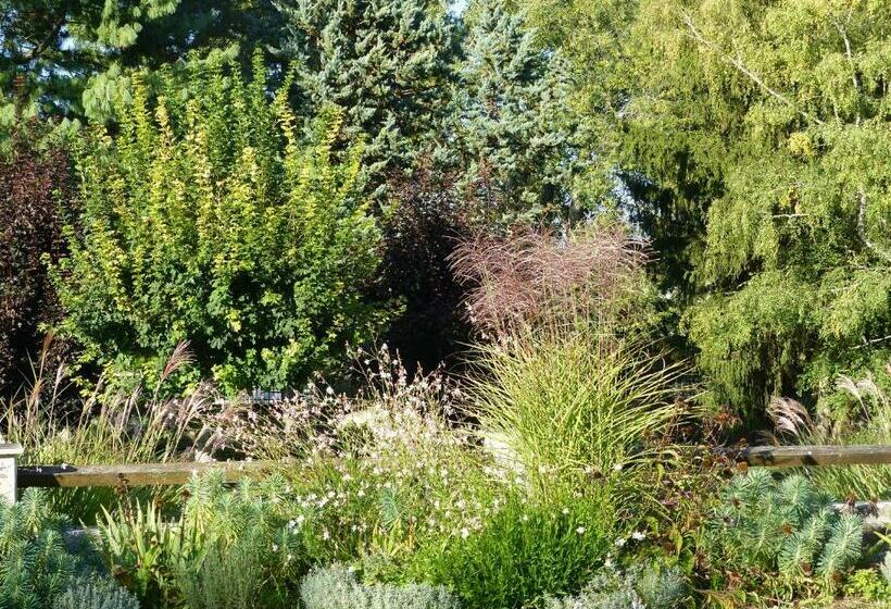 ベッドアンドブレックファースト Manoir De La Vigneraie