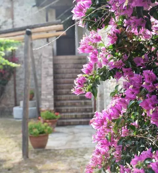 هتل Agriturismo Fellino