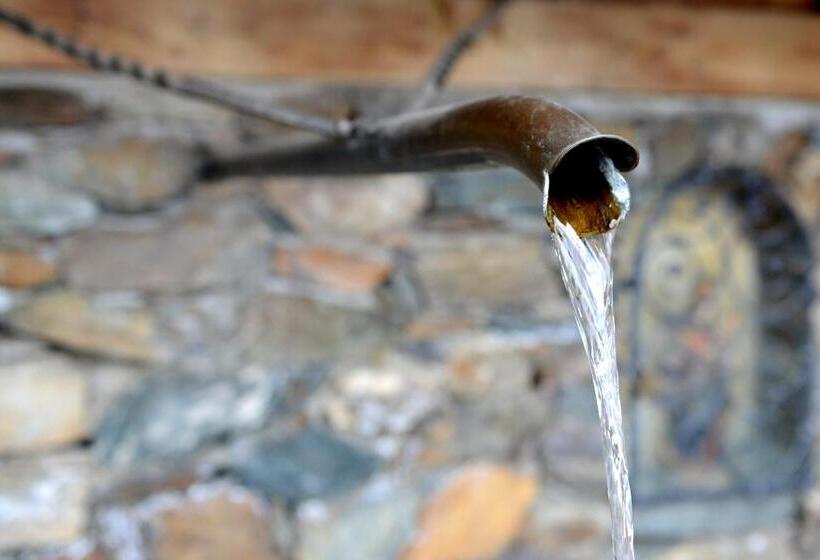 فندق Platiederhof