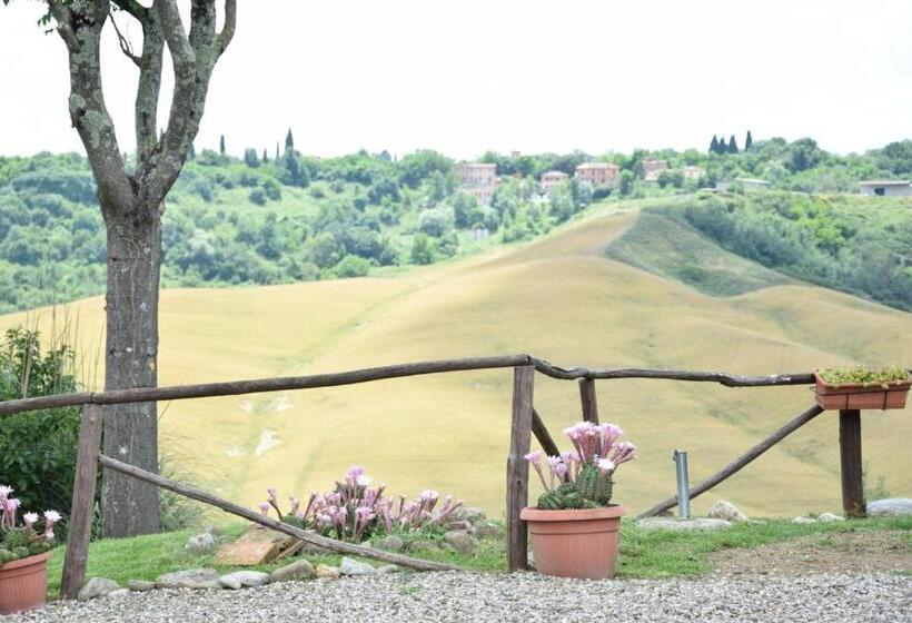 ペンション Appartamento Crete Senesi