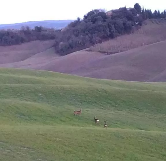 Majatalo Appartamento Crete Senesi