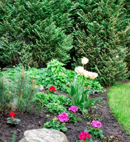 پانسیون Ramybes Sala