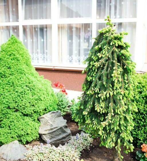 پانسیون Ramybes Sala