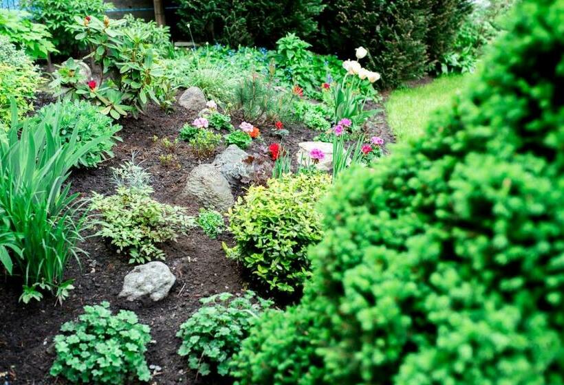 پانسیون Ramybes Sala