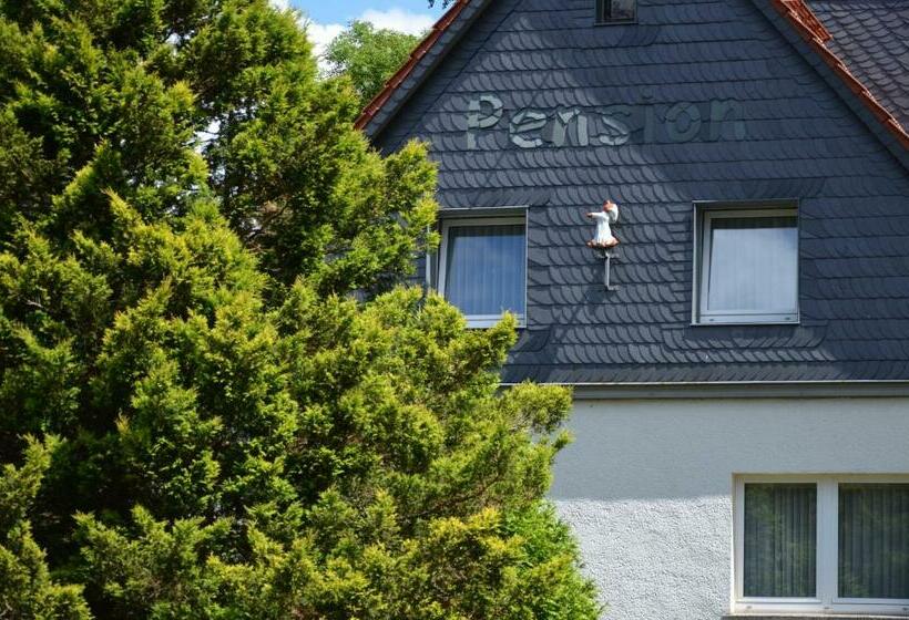 Pension Landhaus Machold