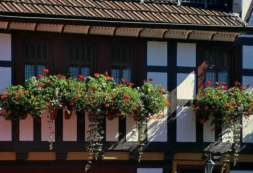 Pension Landhaus Machold