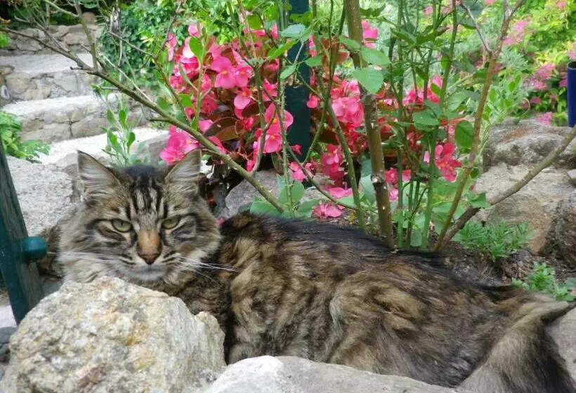 Aamiaismajoitus (B&B) Chez Catherine