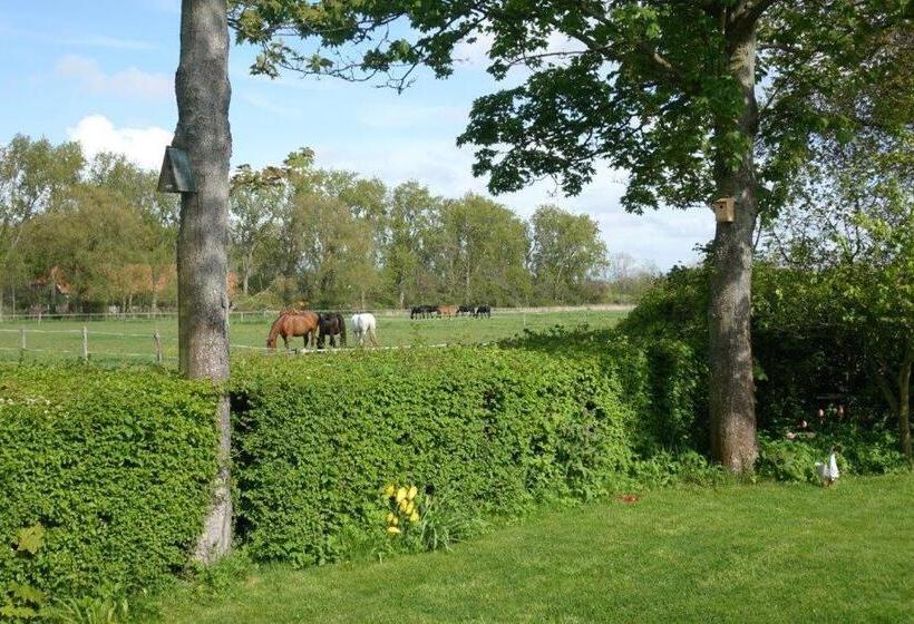 צימר Gastenverblijf Neeltje