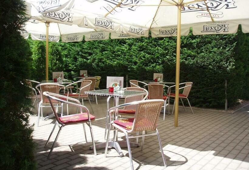 مبيت وإفطار Salur