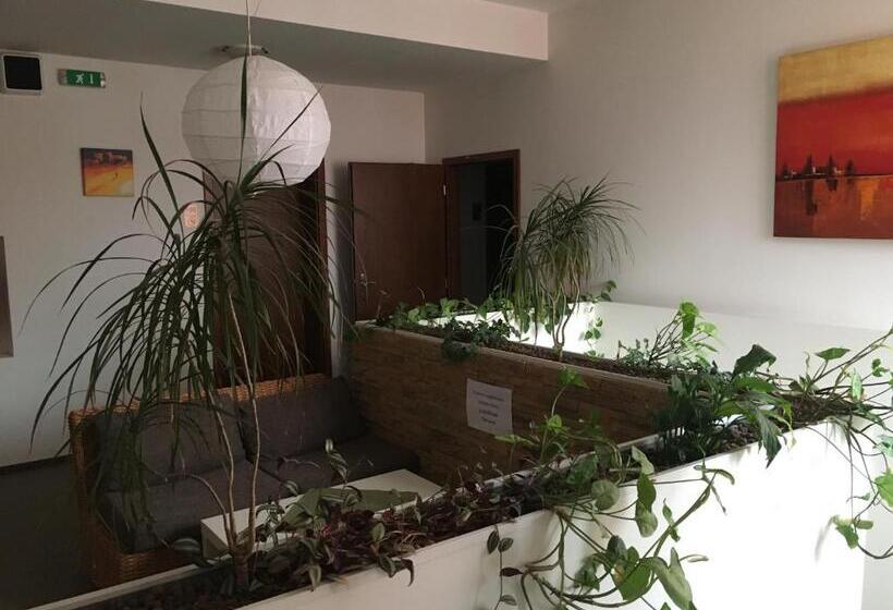 مبيت وإفطار Salur