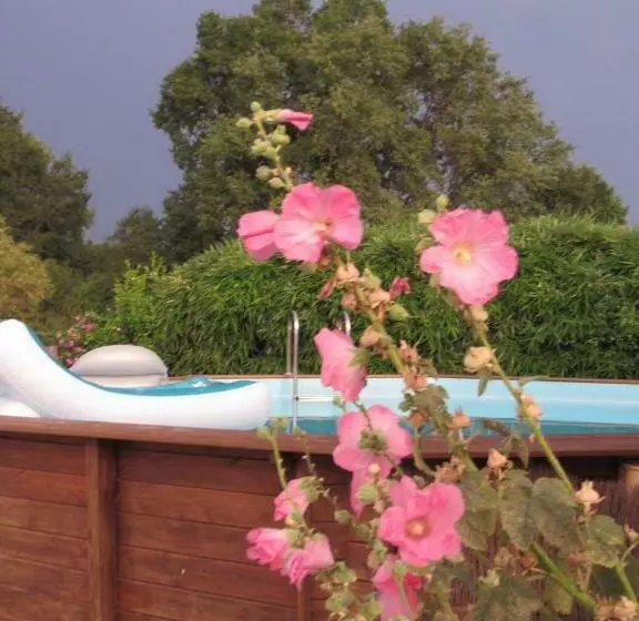 Aamiaismajoitus (B&B) The Wild Seeds