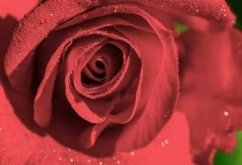 Aamiaismajoitus (B&B) The Wild Seeds