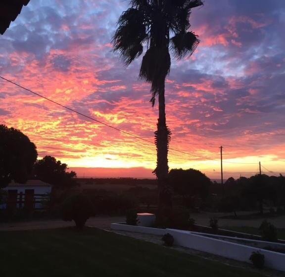 ホテル Herdade Do Pessegueiro