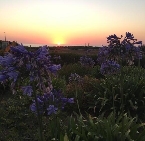 ホテル Herdade Do Pessegueiro