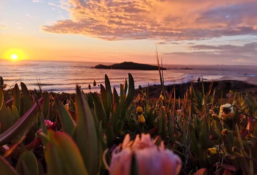 ホテル Herdade Do Pessegueiro