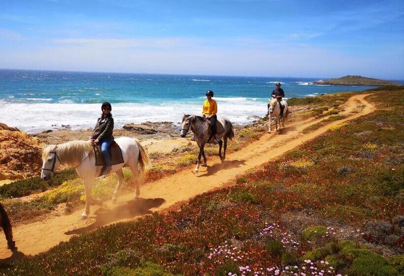 ホテル Herdade Do Pessegueiro