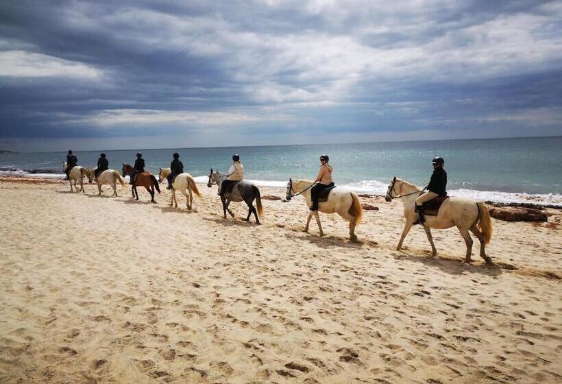 ホテル Herdade Do Pessegueiro