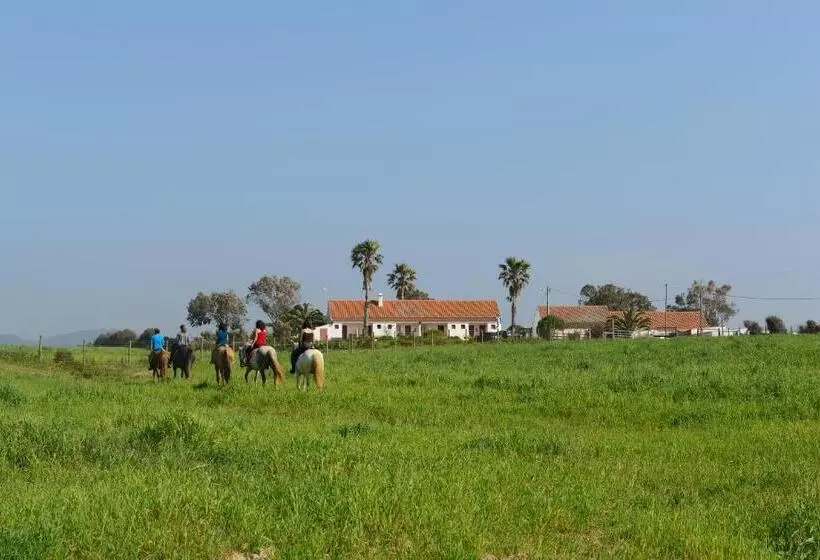 ホテル Herdade Do Pessegueiro