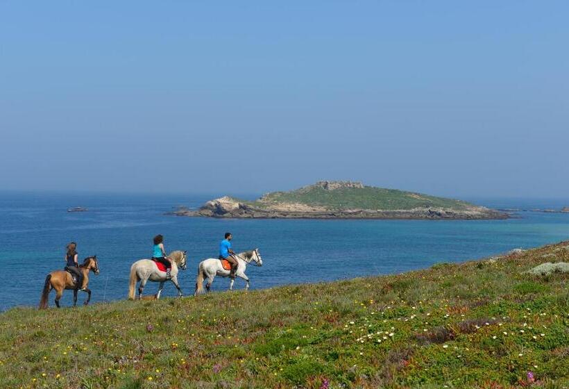 ホテル Herdade Do Pessegueiro