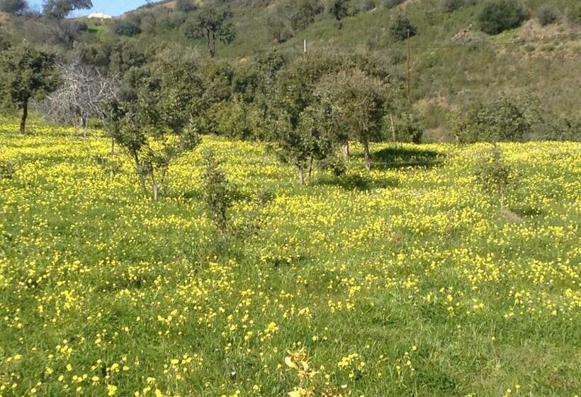 پانسیون Casa Da Osga