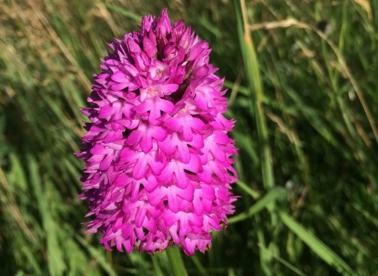 Strathmore Bed & Breakfast