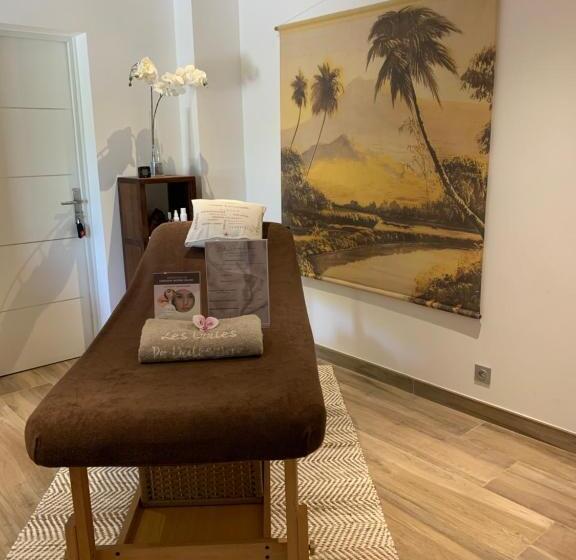 B&b Les Voiles De Valescure Chambres D Hôtes Et Son Espace Bien être