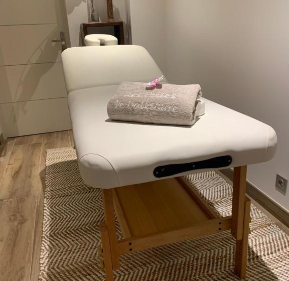 B&b Les Voiles De Valescure Chambres D Hôtes Et Son Espace Bien être