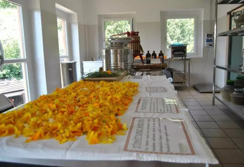 Aamiaismajoitus (B&B) Ca  Dei Fazzilisti