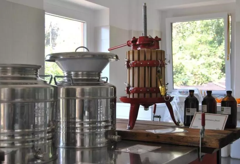 Aamiaismajoitus (B&B) Ca  Dei Fazzilisti