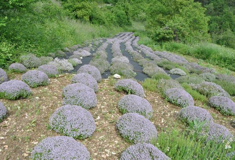 ベッドアンドブレックファースト Ca Dei Fazzilisti