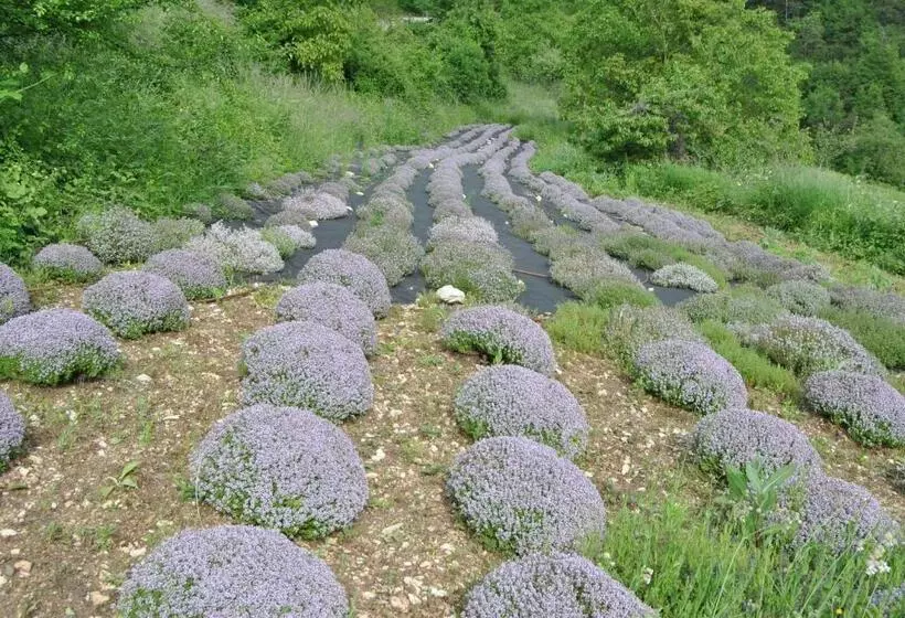 Aamiaismajoitus (B&B) Ca  Dei Fazzilisti