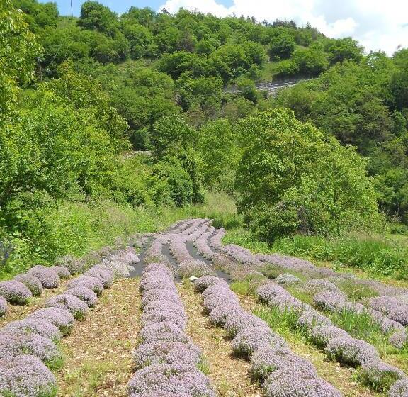 ベッドアンドブレックファースト Ca Dei Fazzilisti