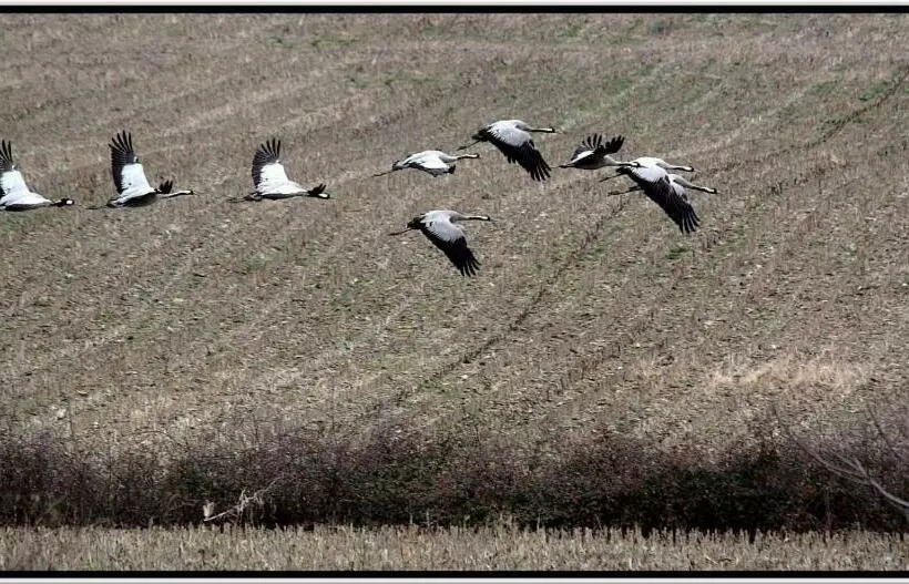 Bed and Breakfast Chambres D Hôtes Le Gilliard
