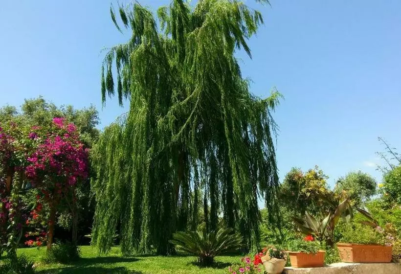 Bed and Breakfast La Casa Dei Sogni