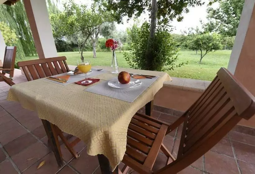 Bed and Breakfast La Casa Dei Sogni