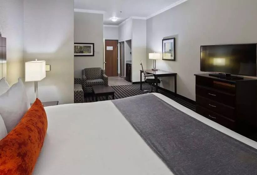 Otel Best Western Plus Austin Airport Inn & Suites