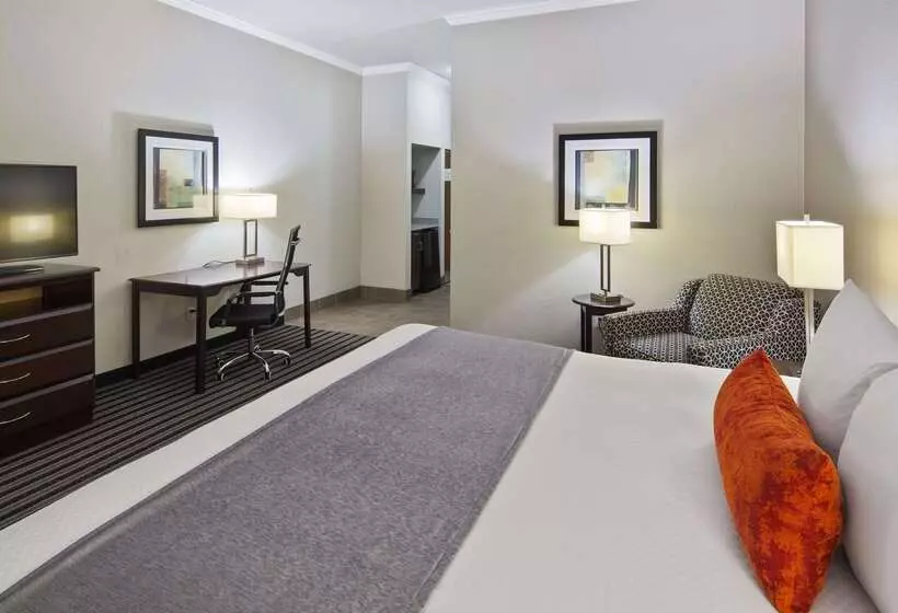 Otel Best Western Plus Austin Airport Inn & Suites