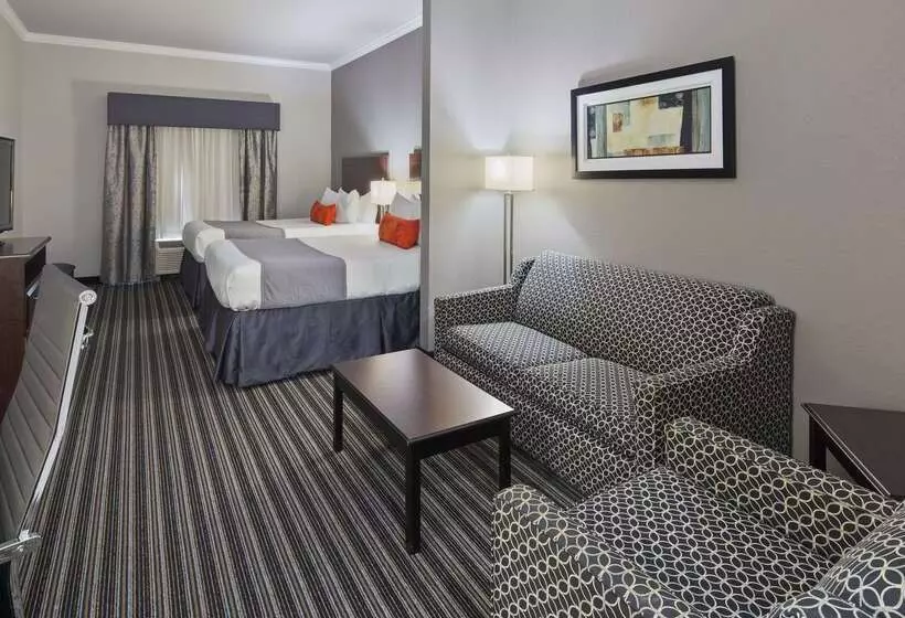 Otel Best Western Plus Austin Airport Inn & Suites