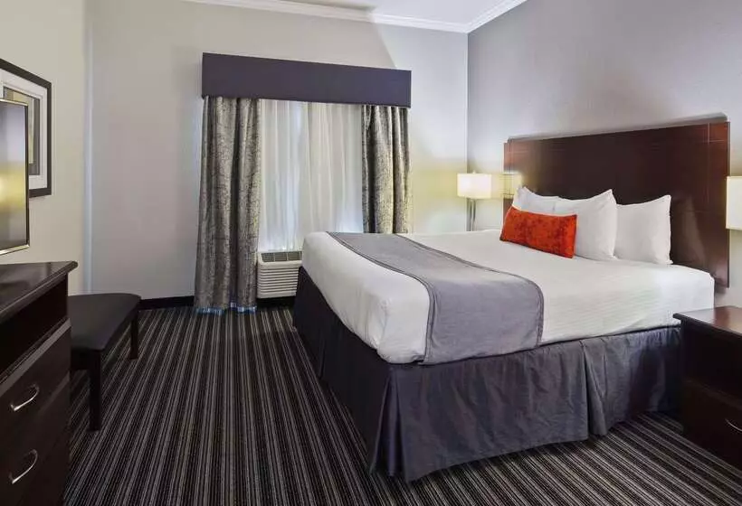 Otel Best Western Plus Austin Airport Inn & Suites