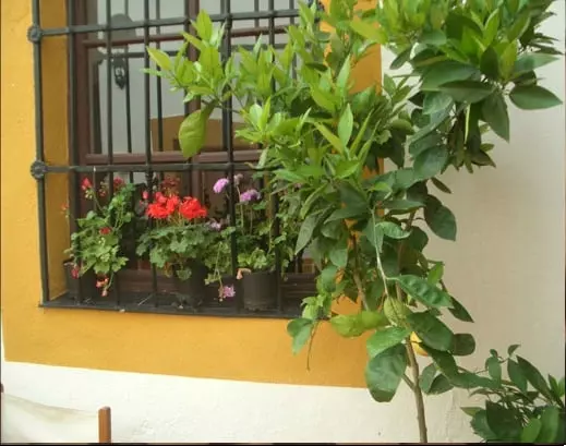 Hotel Los Balcones De Zafra