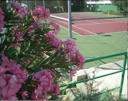 Hotel Los Balcones De Zafra